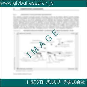 グローバルリサーチ調査資料のイメージ